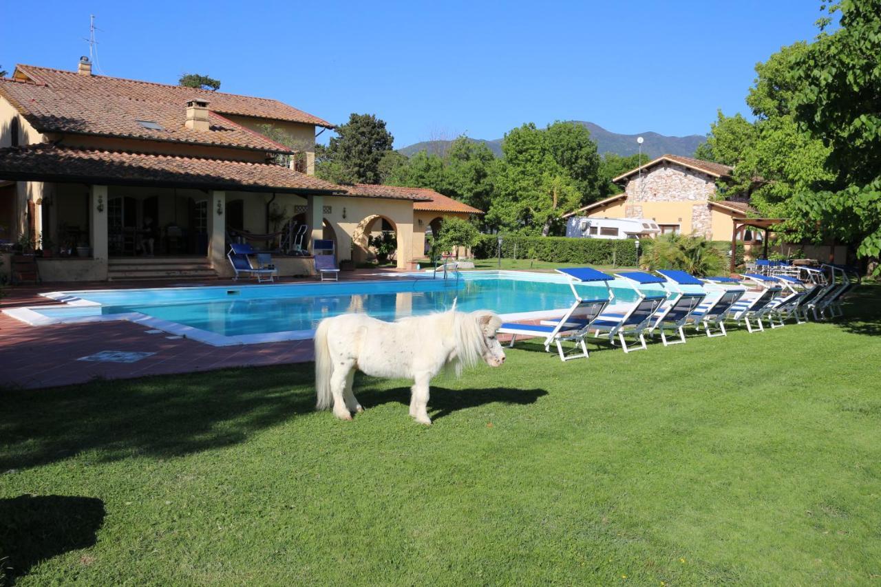 Podere San Paolo San Giuliano Terme Exterior foto